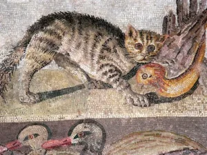 02 extra mosaic art cat