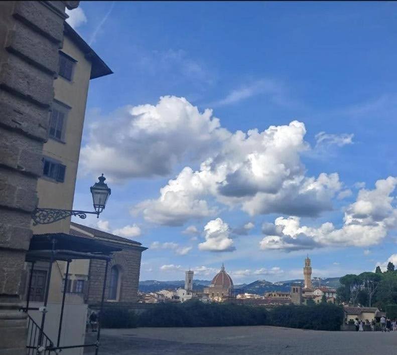 Florence: The City of Art 6 7